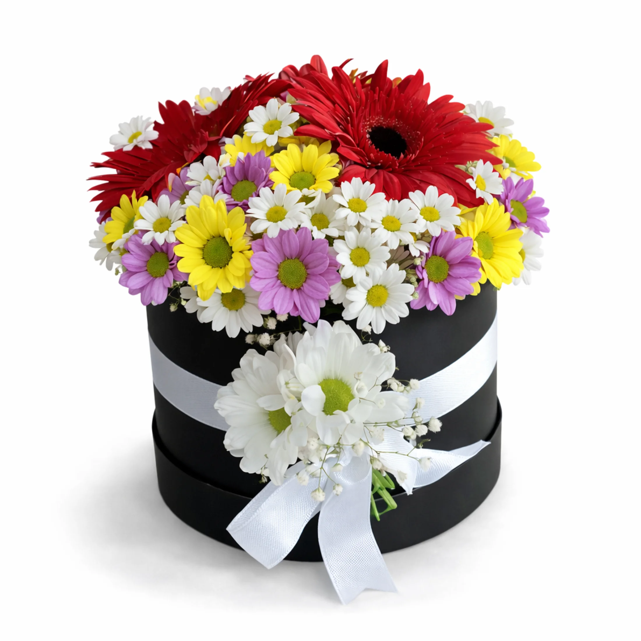 Papatya & Gerbera